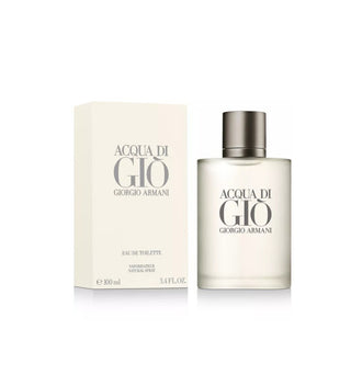ACQUA DI GIO 3.3 FL OZ