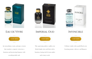 30 PERFUMES POR $300 RIVOLI (HAGA SU CUENTA MAYORISTA PRIMERO)