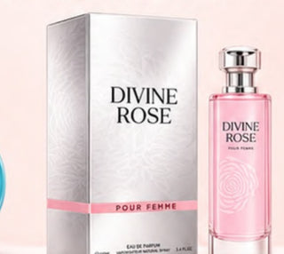 100 PERFUMES POR $300